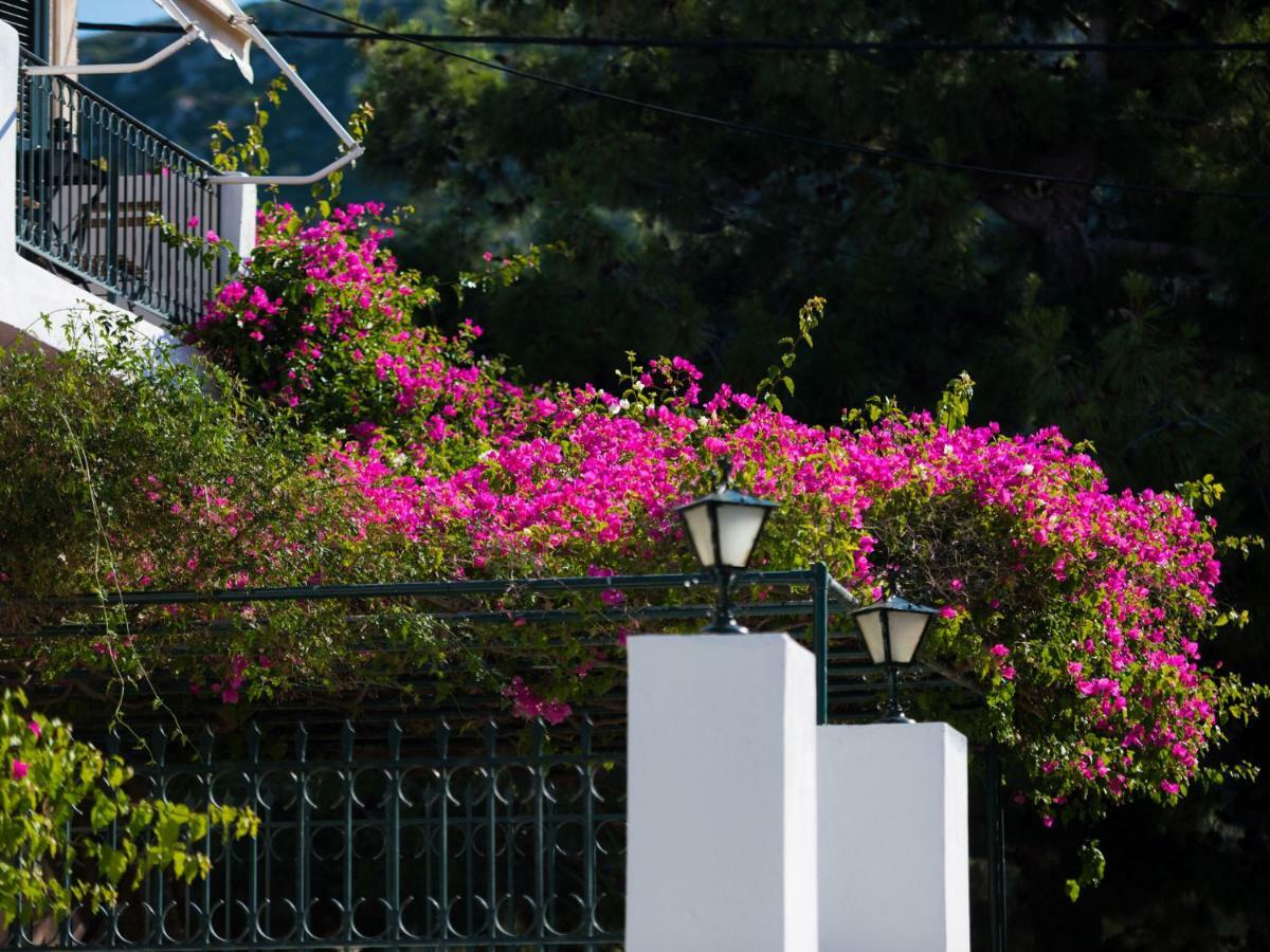 Casa Buganvilla Miniá Kültér fotó