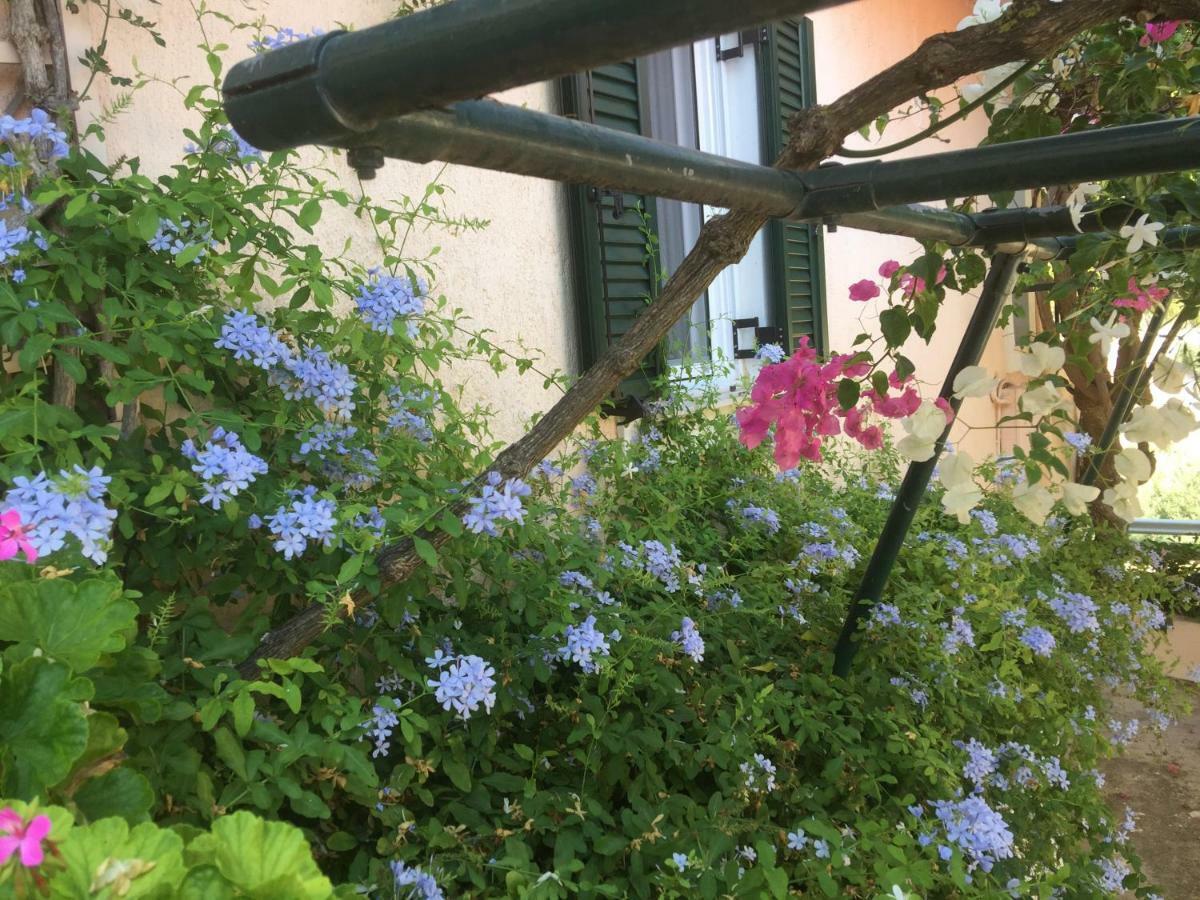 Casa Buganvilla Miniá Kültér fotó